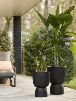 Elho Pure Coupe 41 - Bloempot Voor Binnen & Buiten - Ø 41.3 X H 57.9 Cm - Zwart/Zwart 26 Elho Pure Coupe 41 - Bloempot Voor Binnen & Buiten - Ø 41.3 X H 57.9 Cm - Zwart/Zwart -Tuin En Buiten 900x1200 8