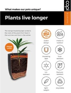 Capi Europe - Bloempot Bol Smooth NL - 35x34 - Zwart - Voor Binnen En Buiten - KBL932 23 Capi Europe - Bloempot Bol Smooth NL - 35x34 - Zwart - Voor Binnen En Buiten - KBL932 -Tuin En Buiten 917x1200