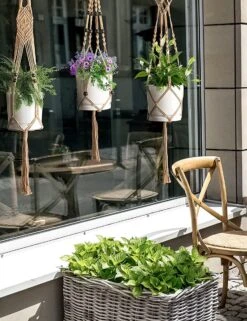 4 Stuks Luxe Jute Plantenhangers - Boho Handgeweven Katoen Hangpot Voor Binnen/Buiten - Hangende Bloempot Met Kralen - Macramé Touw/Koord Hangplant Houder - Bohemian Wandhanger Decoratie - Plant Hanger - Verticale Tuin Bloempothouder Planthanger -Tuin En Buiten 923x1200 2